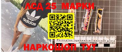 шишки Конаково