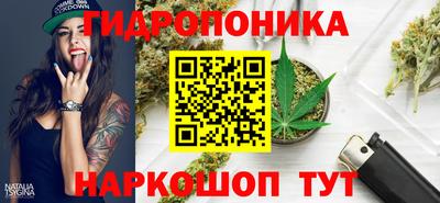 шишки Конаково