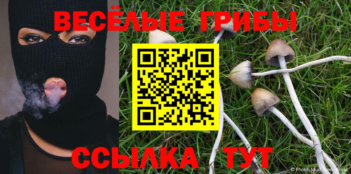 Галлюциногенные грибы прущие грибы Кохма