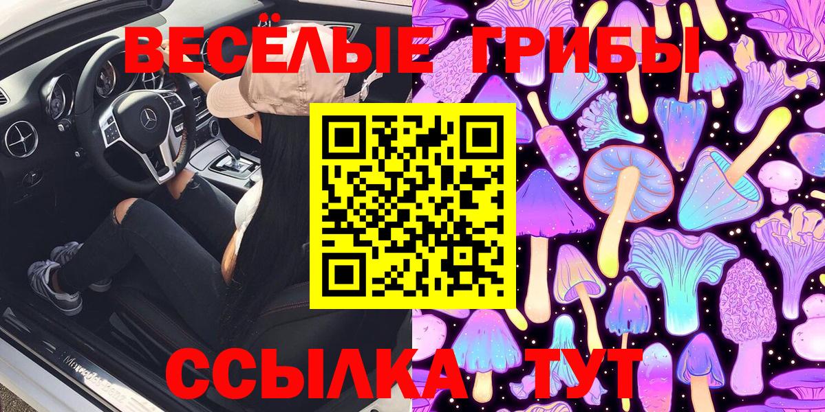 Псилоцибиновые грибы ЛСД  Псилоцибиновые грибы прущие грибы  Вход с VPN  Кохма 